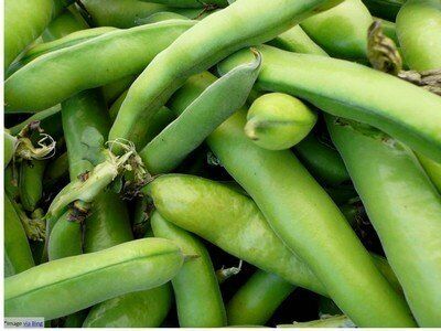 Superfoods Every Woman Must Have