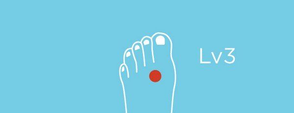 LV3 (Foot)